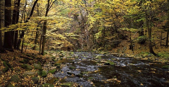 Přírodní rezervace Krkanka: V údolí řeky Chrudimky se budete cítit jako v románu od Jacka Londona