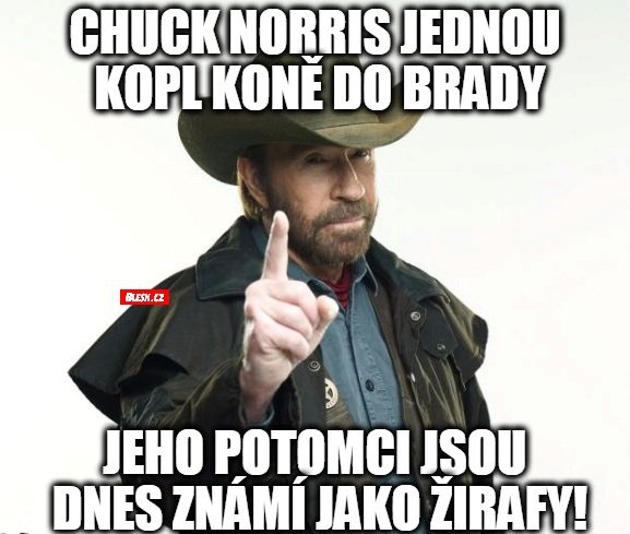 Vtip o Chucku Norrisovi