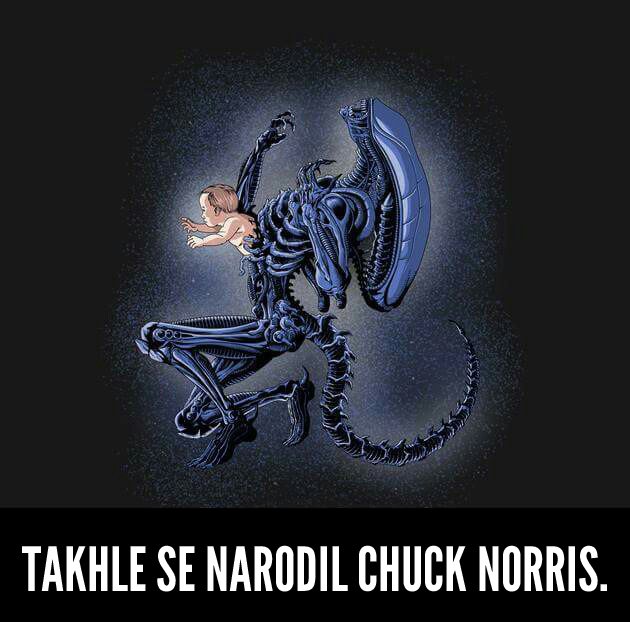 10 nejlepších vtipů o Chucku Norrisovi.