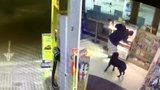 Policisté museli zastřelit psa: Agresivní muž mu přikázal, aby na ně zaútočil!