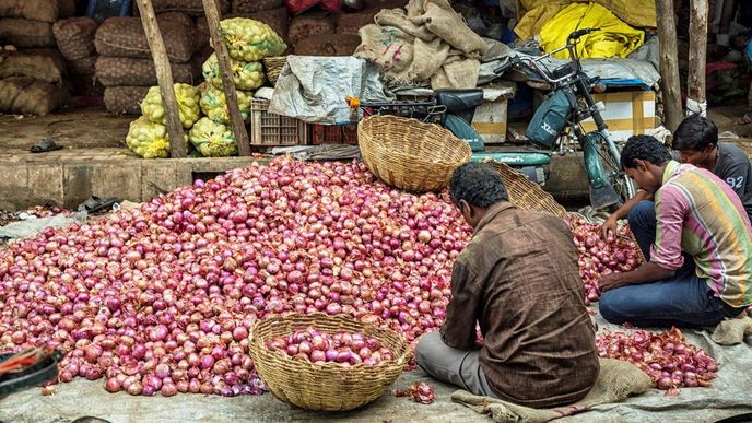 Cibule na trhu v Indii