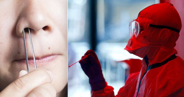 Koronavirus útočí na důležité buňky v nose. Můžete přijít o čich, varují vědci