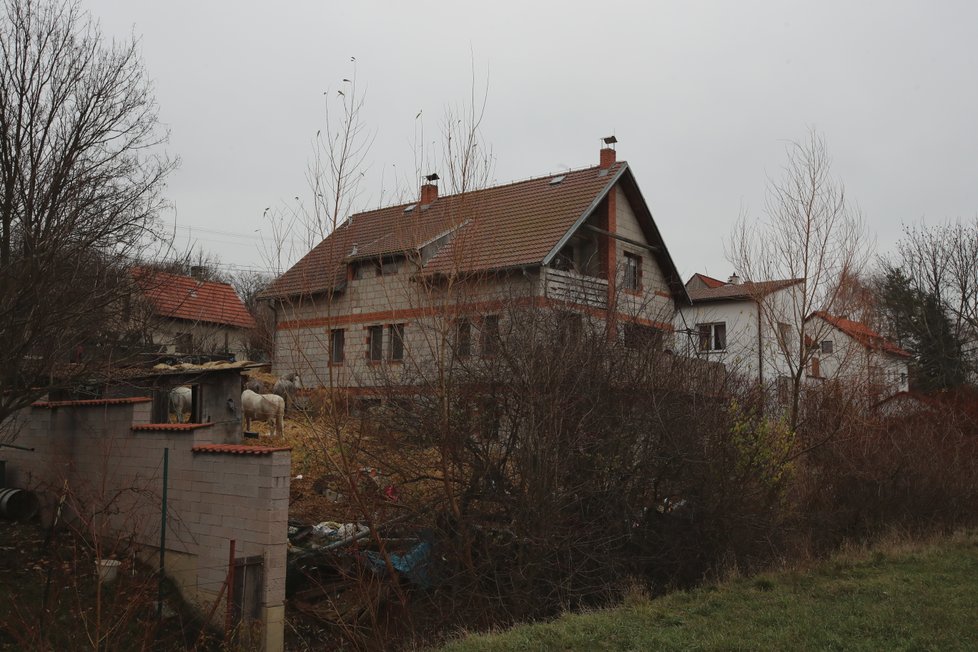 Farma hrůzy v Číčovicích: Kozy na balkóně a dům plný zbídačených zvířat!