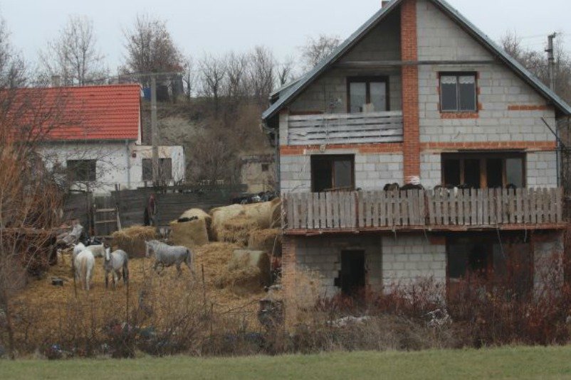 Farma hrůzy v Číčovicích: Kozy na balkóně a dům plný zbídačených zvířat!