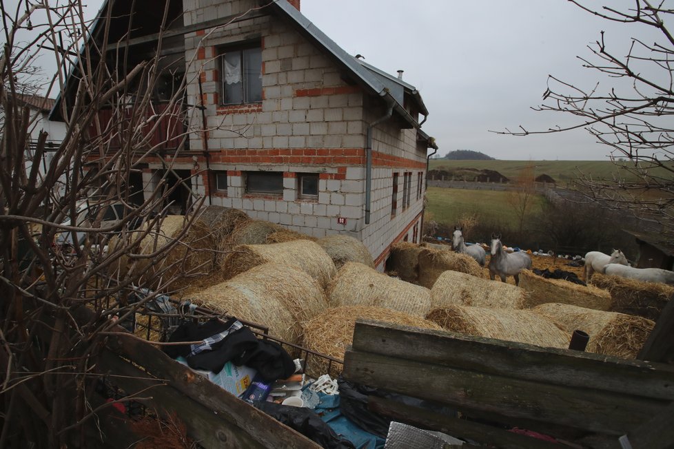 Farma hrůzy v Číčovicích: Kozy na balkóně a dům plný zbídačených zvířat!