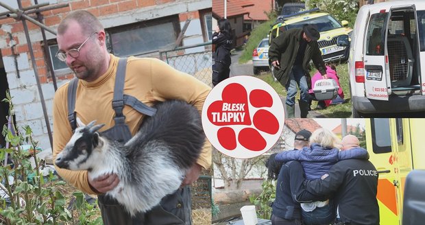 Úředníci nekonali, kozy ano. V domě hrůzy našli místo sedmi kusů 40hlavé stádo