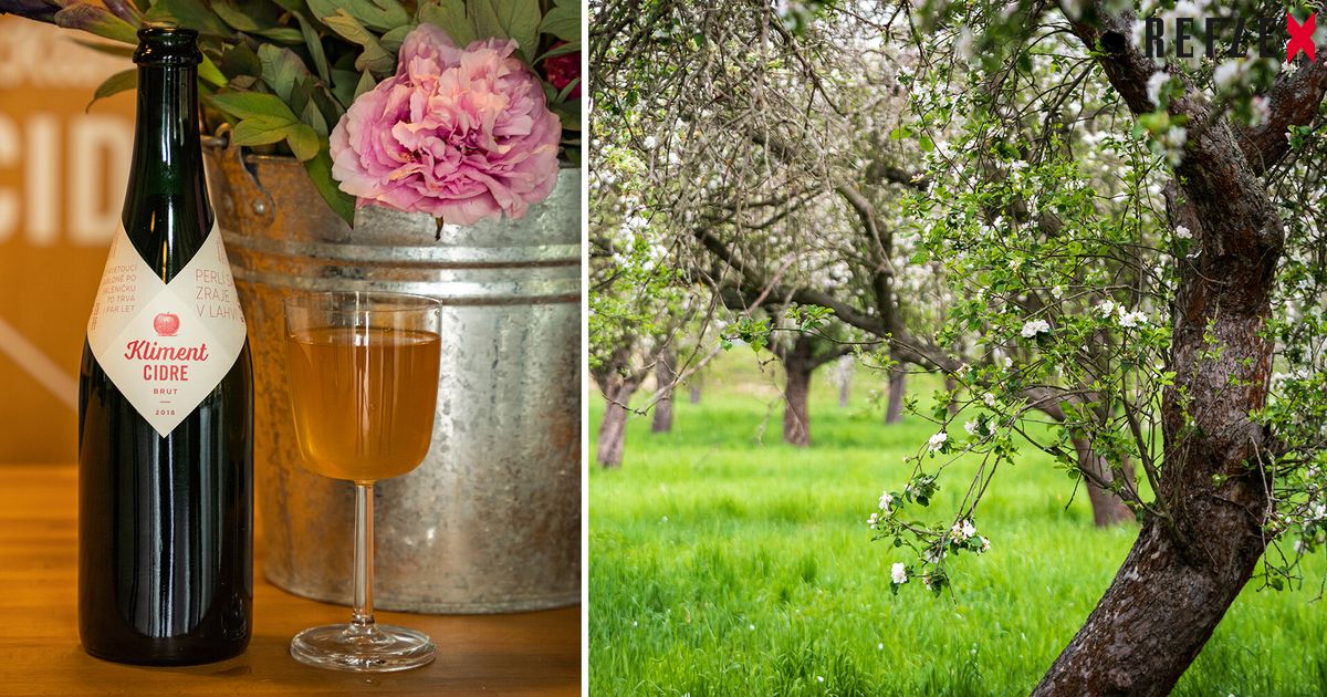 Náhled výstupu: Bio jablka ze starých sadů, původní odrůdy a dlouhé zrání. U Berounky najdete cidre jako z Francie