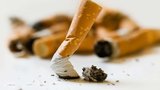 Obce mohou získat peníze na úklid nedopalků cigaret