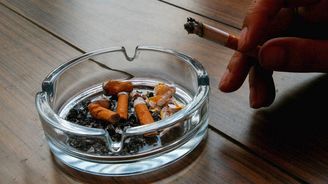 Schválení citelného zdražení cigaret a alkoholu je téměř jisté