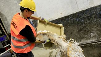 V Česku opět roste černý trh s tabákem. Celníci zadrželi miliony pašovaných cigaret