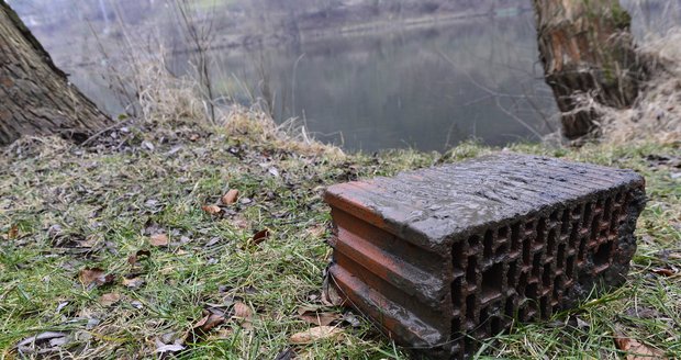 Otřesné týrání: K psovi přivázali cihlu a hodili ho do řeky!