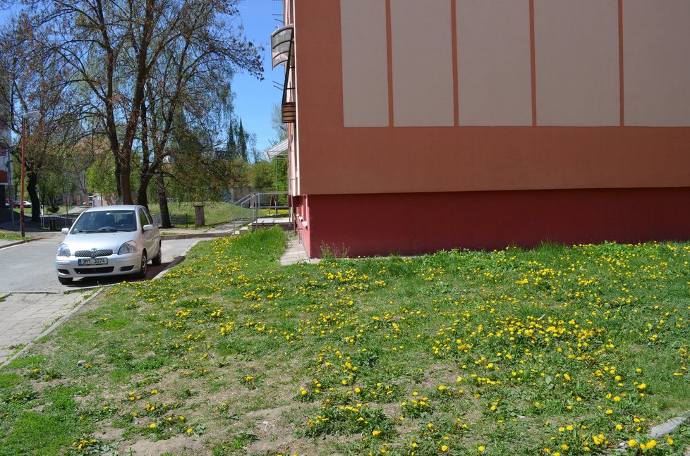 Na tomto plácku si ve čtvrtek večer suroví olomoučtí romští výrostci zahráli na své břeclavské soukmenovce