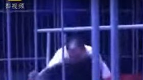 V čínském cirkusu medvěd napadl cvičitele, protože mu zabránil pochutnat si na dobrotě, která přiletěla od jednoho z diváků.