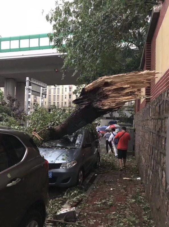 Čínské město zasáhla silná bouře, vítr vyvracel stromy, padaly kroupy a pršely chobotnice.