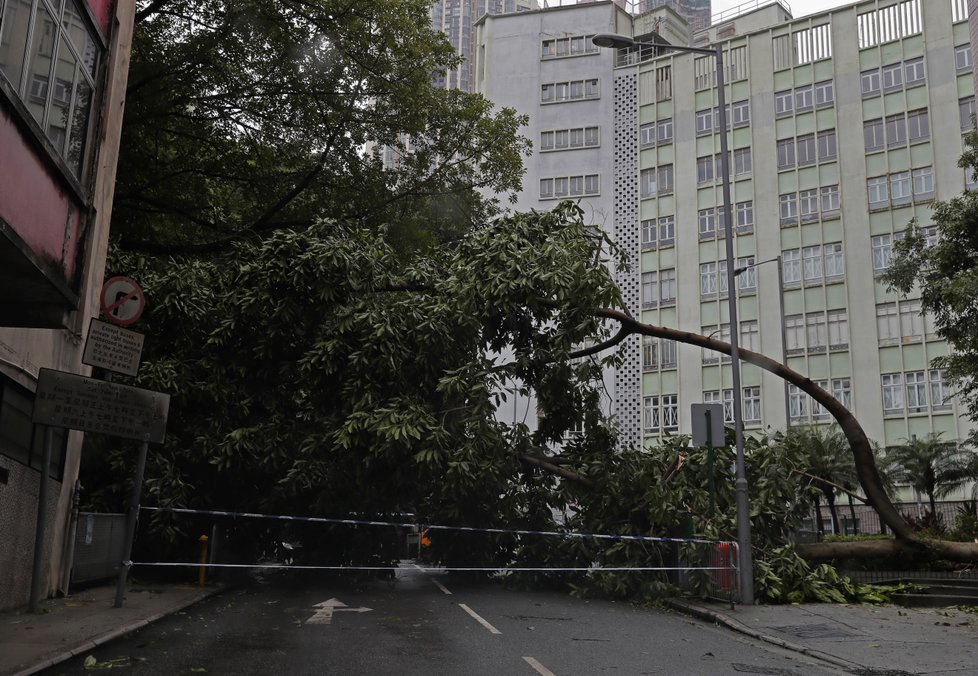 Nejméně 34 zraněných si vyžádal mohutný tajfun Hato, který ve středu zasáhl Hongkong.