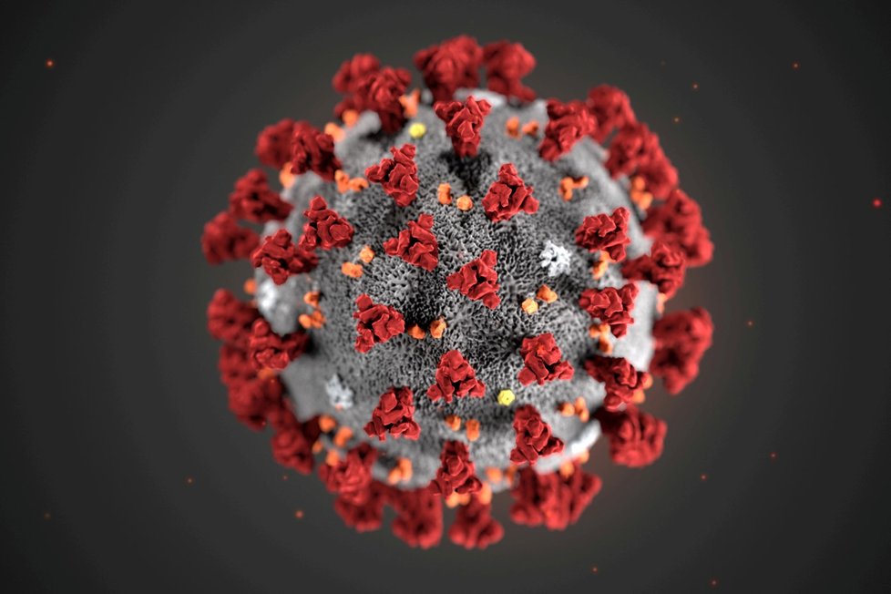 Takhle podle animace vědců vypadá koronavirus.