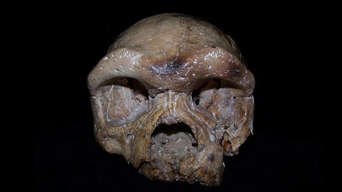Lebka stará 260 tisíc let, nalezená v Číně, mění pohled na vývoj člověka.