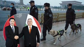 Pozval Orbán čínské policisty?