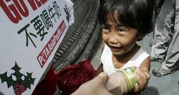 Organizace PETA rozdává v nejvíce postižených oblastech Číny dětem sojové mléko