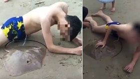 Rejnok v moři muži propíchl penis. Pomohli mu až hasiči