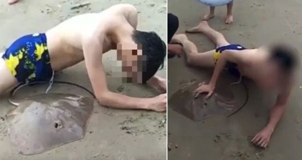 Šplouchačka v moři skončila tragicky: Rejnok muži propíchl penis!