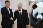 Ruský prezident Putin v Moskvě hostil čínského prezidenta Si Ťin-pchinga. Zašli se podívat i na pandy.