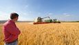 Farmář sleduje sklizeň - ilustrační foto