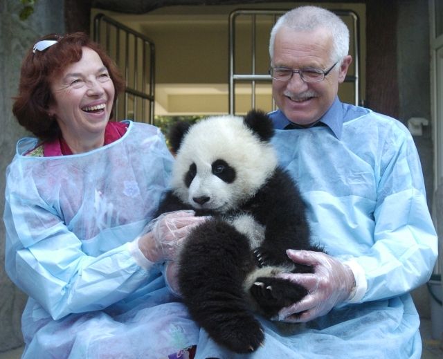 Roztomilé foto z rodinného archivu manželů Klausových: Václav, Livia a panda