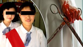 Školačka zabila svou spolužačku a rozsekala ji nůžkami
