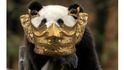 Archeologové objevili nový zdroj memů. Zlatá maska stará 3000 let baví internet