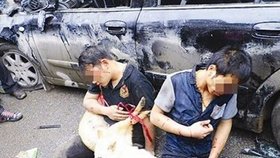 Číňané brutálně mlátí zloděje psů, které chytnou při činu.