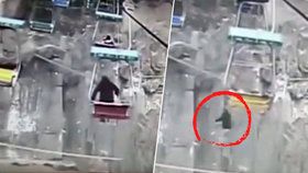 Muž v čínské zoo seskočil z lanovky přímo nad výběhem tygrů. Zachytila ho záchranná síť.