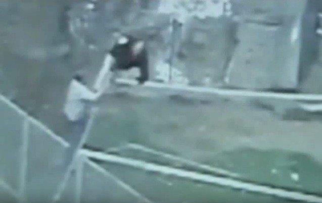 Muž v čínské zoo seskočil z lanovky nad výběhem tygrů. Naštěstí ho zachytila záchranná síť.