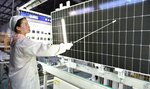 Čína zaplavuje Západ solárními panely. Výrobci v asijské zemi svádějí tvrdý konkurenční boj
