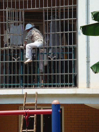 Vyšplhat po žebříku do prvního patra nedělá čiperné dámě žádné potíže