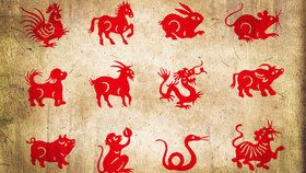 Co vám na příští týden předpovídá čínský horoskop? 
