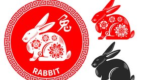 Nový čínský rok pro znamení Zajíce: Nemyslete jen na sebe a vyhýbejte se konfliktům