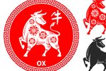 Čínský horoskop 2024: Buvol