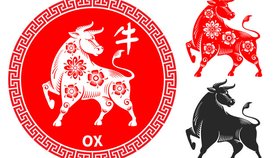 Nový čínský rok pro znamení Buvola: Držte se plánu a nenechte se rozhodit!