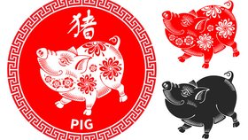 Čínský horoskop 2024: Vepř
