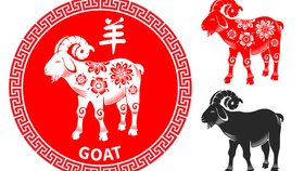 Čínský horoskop 2024: Koza