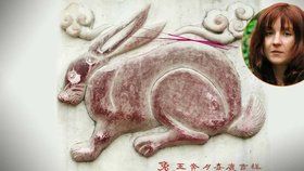Čínský horoskop – Zajíc
