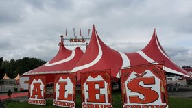 Tragédie v Cirkuse Aleš: Velbloud zabil opilého zaměstnance?!