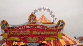 Praha v těchto dnech hostí světoznámý cirkus!