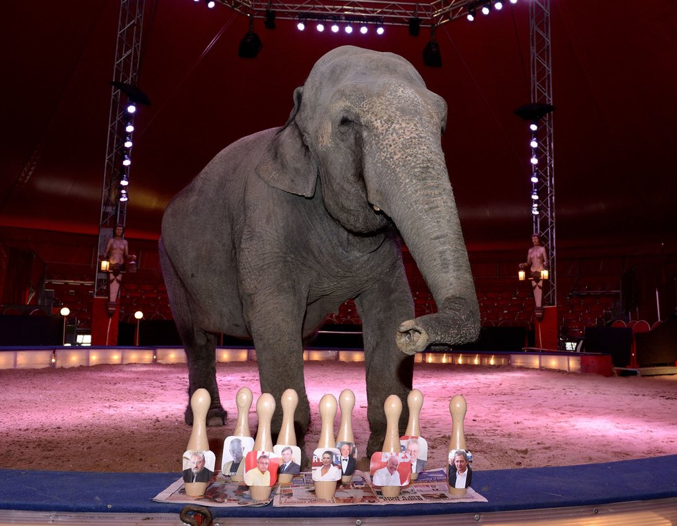 Cirkus Berousek po 101 letech končí s kočováním.