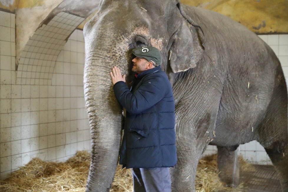 Cirkus Berousek po 101 letech končí s kočováním.