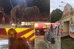 Cirkus Humberto, který se momentálně nachází v pražské Krči, pozval veřejnost do svého zázemí. Lidé si tam mohli prohlédnout, jak se pracovníci cirkusu starají o tamní zvířátka i jak probíhá výcvik.