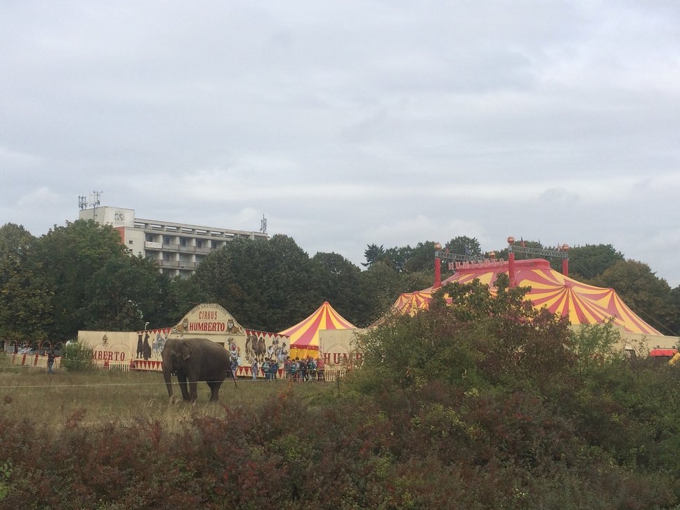 Cirkus Humberto v pražské Krči.