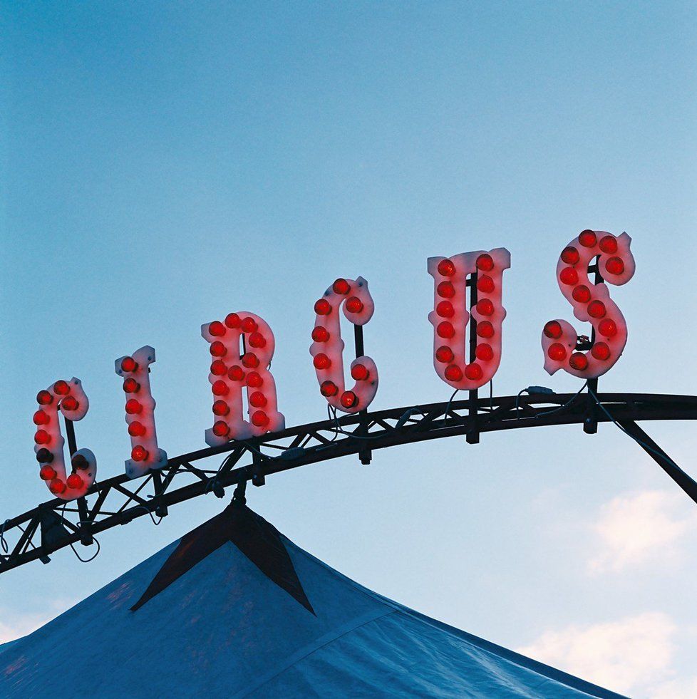 Konec zvířat v cirkusech?