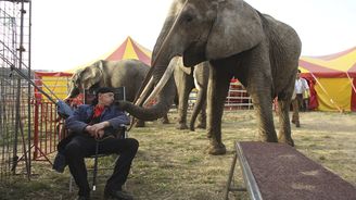 V cirkusech se o zvířata starají dobře, přesto bych podmínky pro chov zpřísnil, říká veterinář